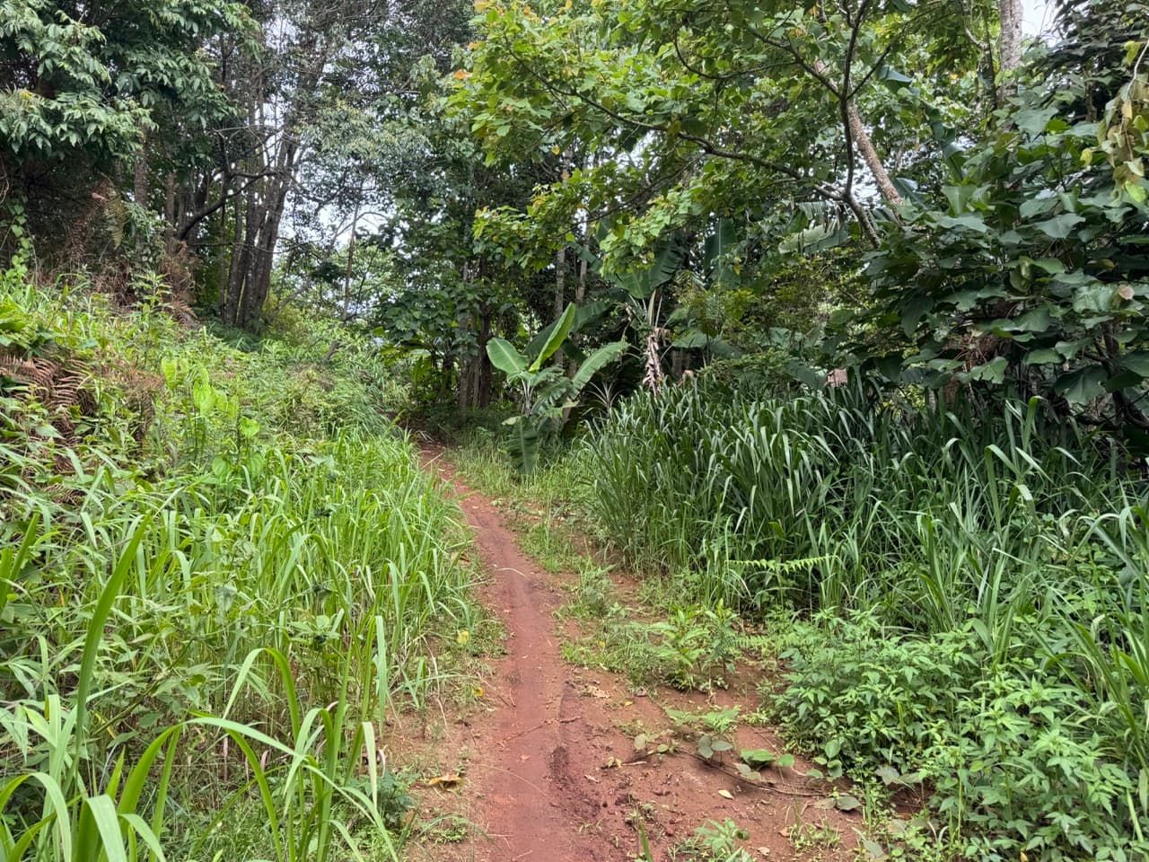 Image 18