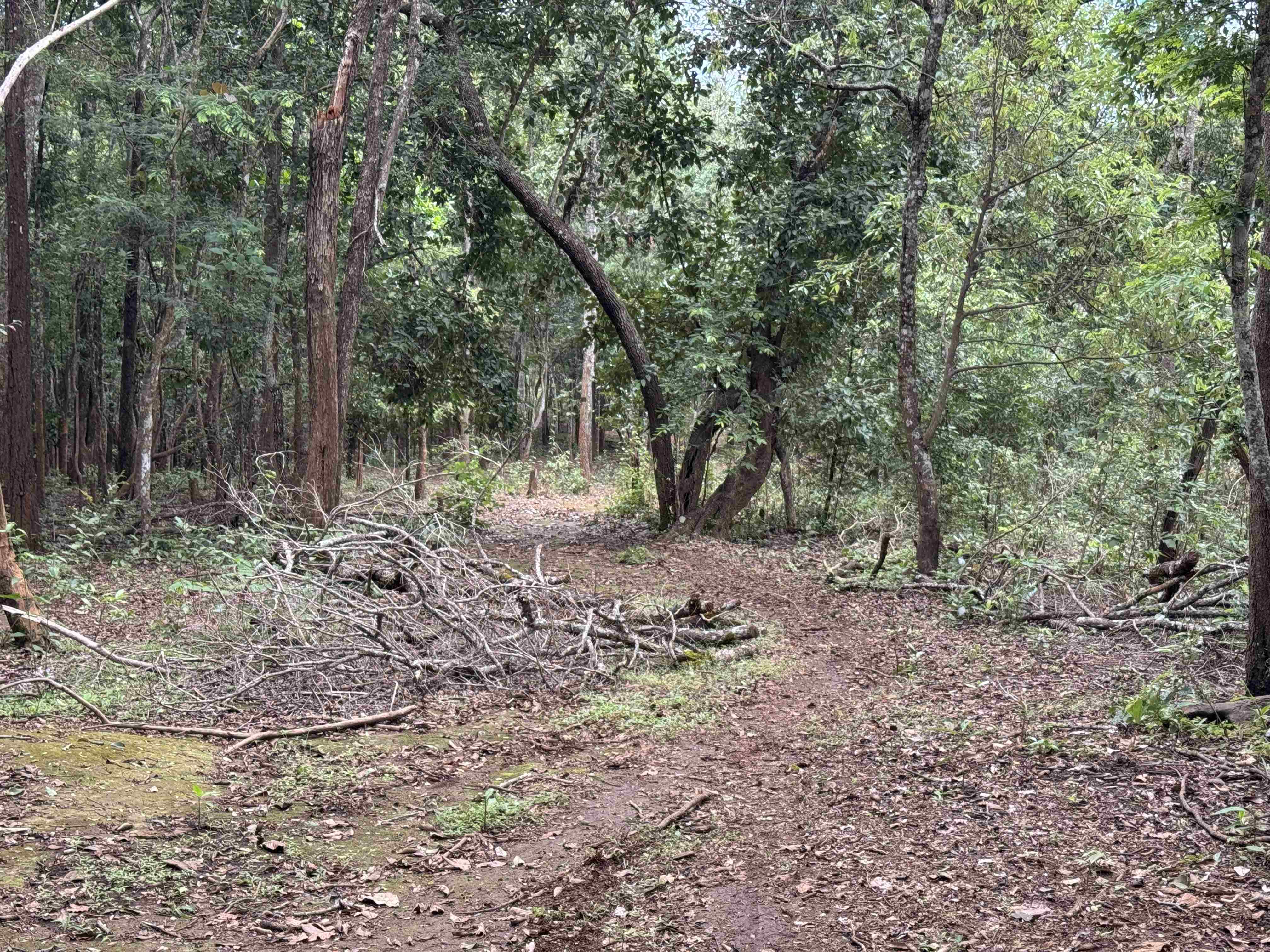 Baan Ngio to Baan Na Ku — photo