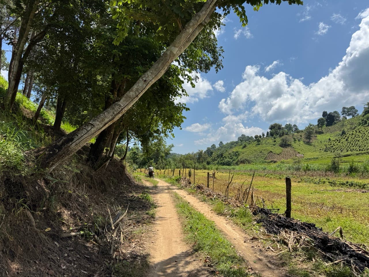 Doi Mae Salong Burma Border Ridgeline Ride — photo 4