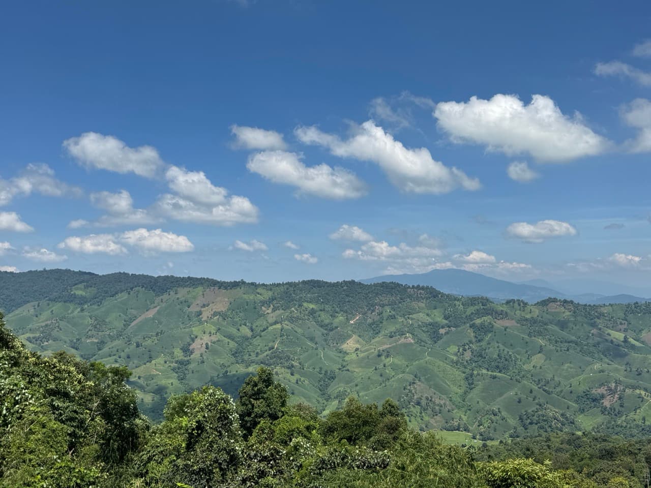 Doi Mae Salong Burma Border Ridgeline Ride — photo 8