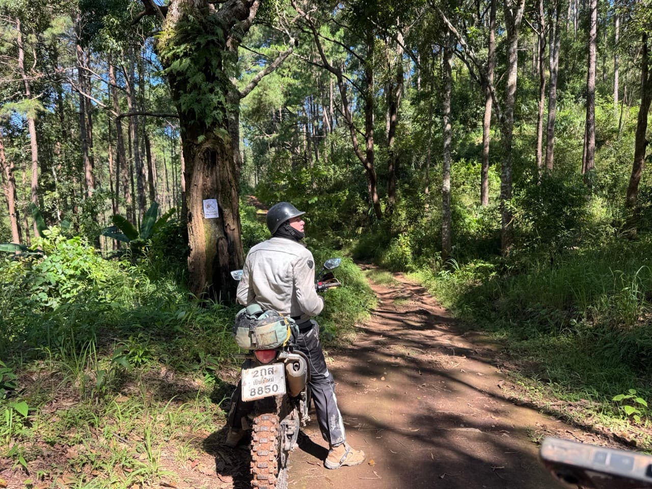 Doi Mae Salong Burma Border Ridgeline Ride — photo 23