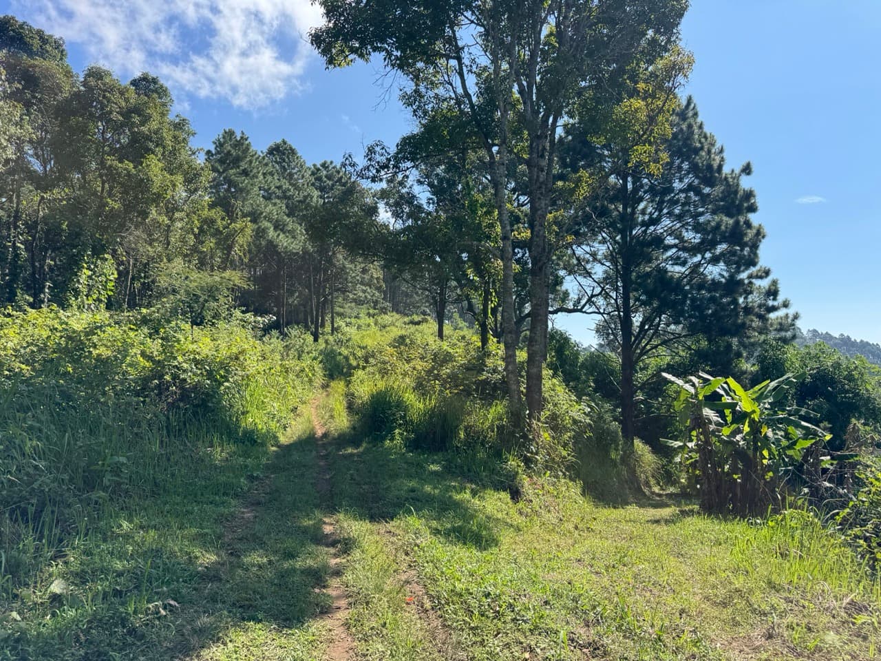 Doi Mae Salong Burma Border Ridgeline Ride — photo 28