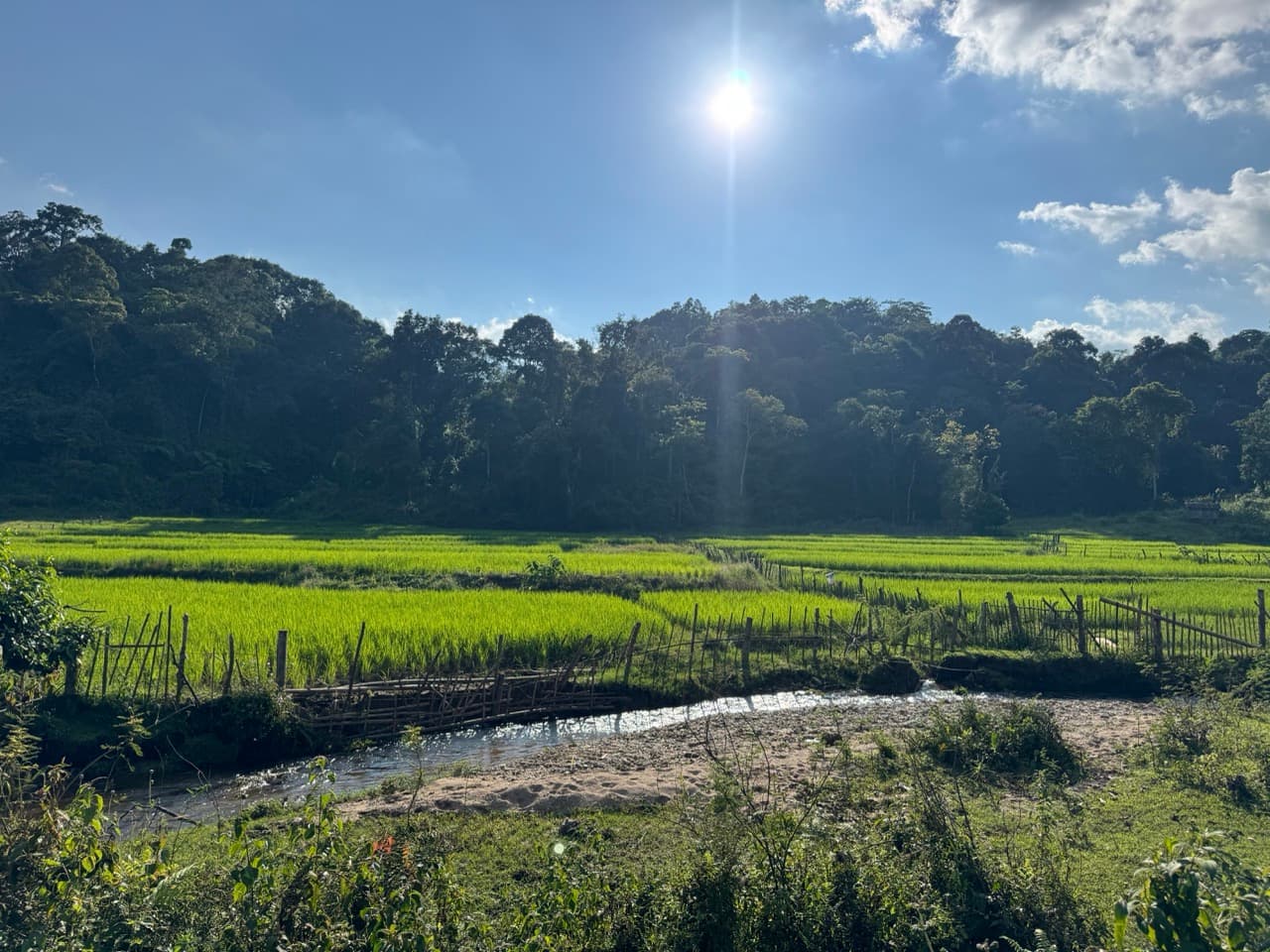 Doi Pha Hom Pok Burmese Border Route — photo 13