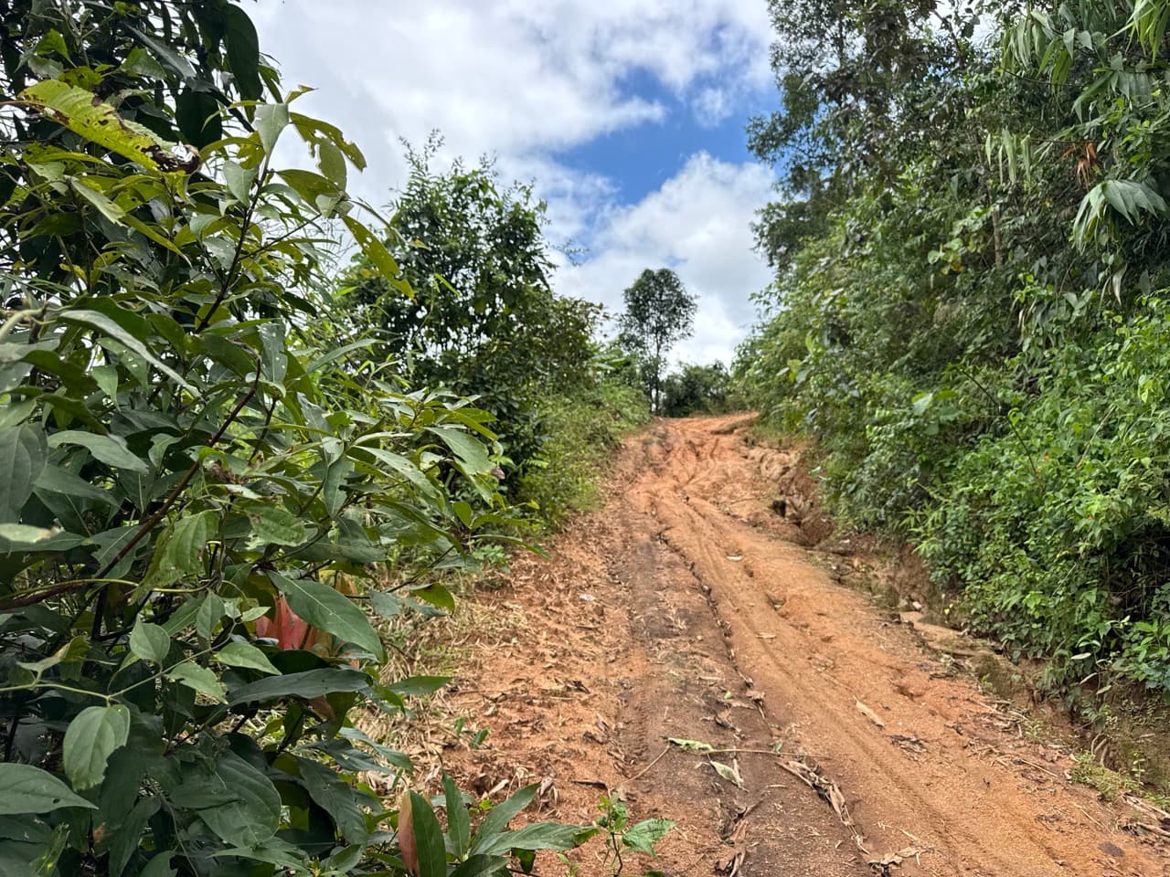 Mae Sariang to Mae Chaem via Village Roads — photo 28