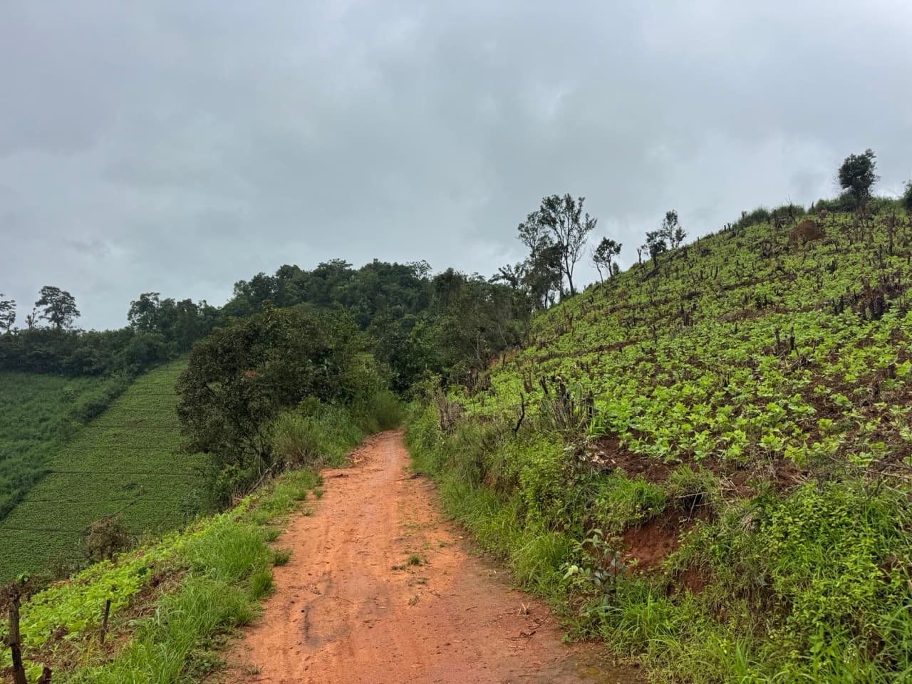 Mae Sariang to Mae Chaem via Village Roads — photo 41