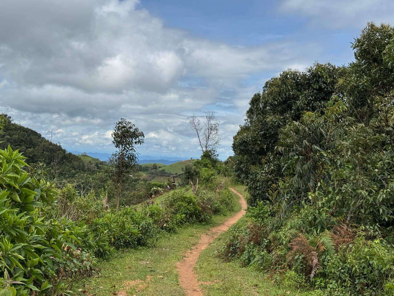 Mae Sariang to Mae Chaem via Village Roads — photo 50