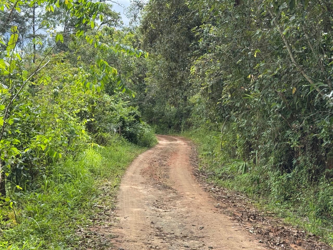 Samoeng to Mae Win Offroad — photo 10