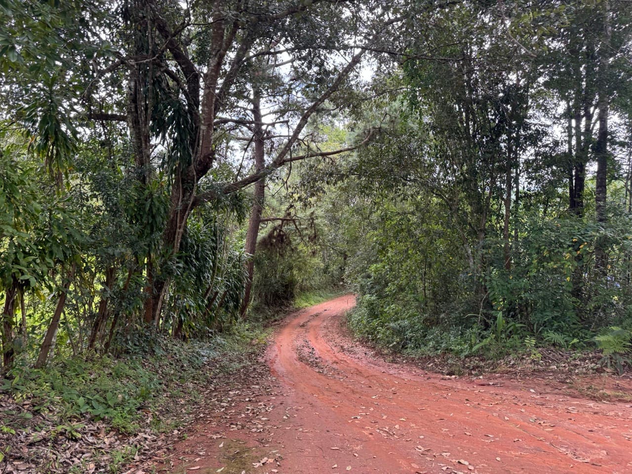 Samoeng to Mae Win Offroad — photo 17