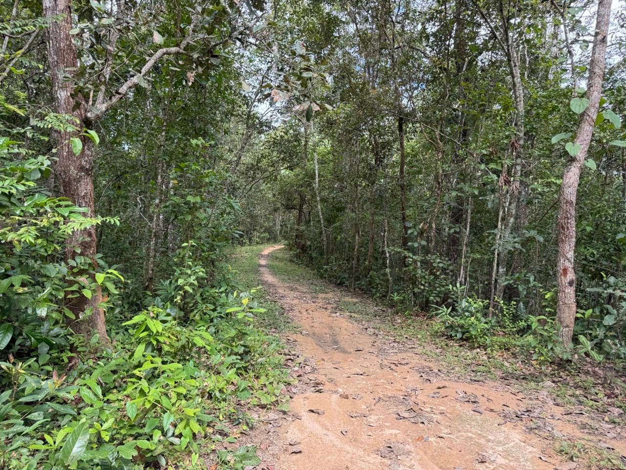Samoeng to Mae Win Offroad — photo 30