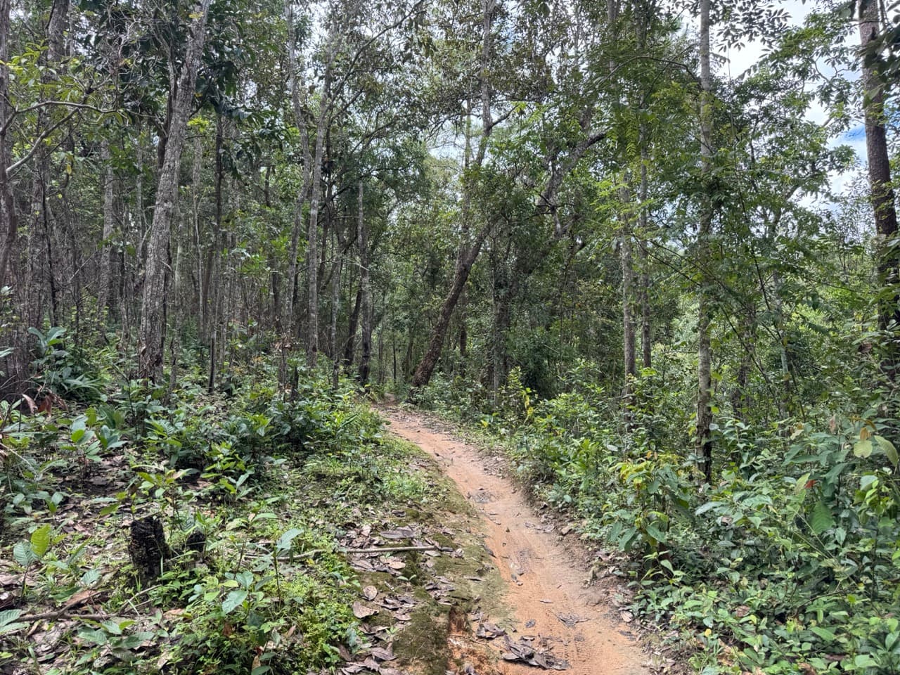 Samoeng to Mae Win Offroad — photo 31
