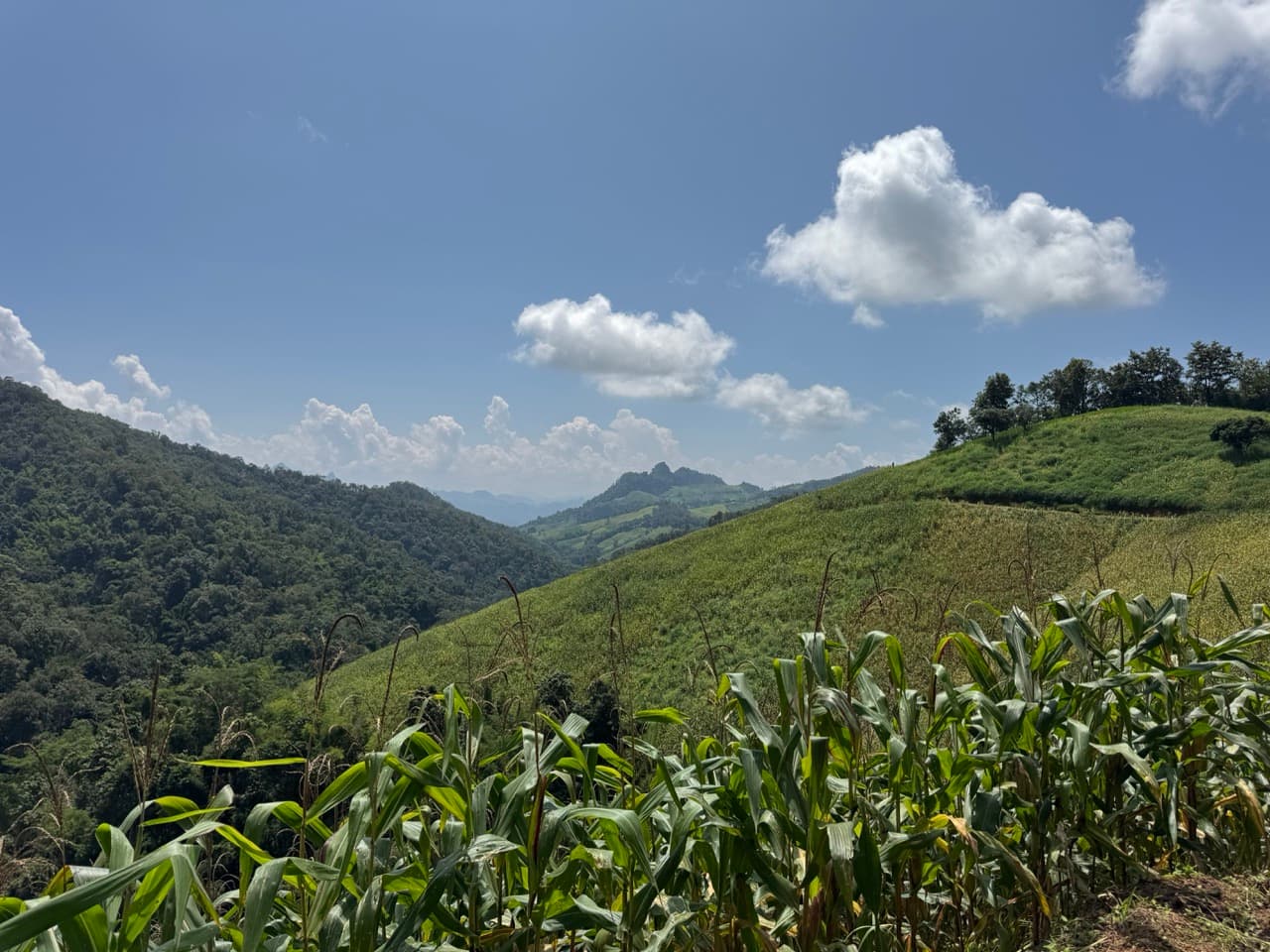 Phang Ma Pha Border Loop (Near Loi Tai Leng) — photo 8