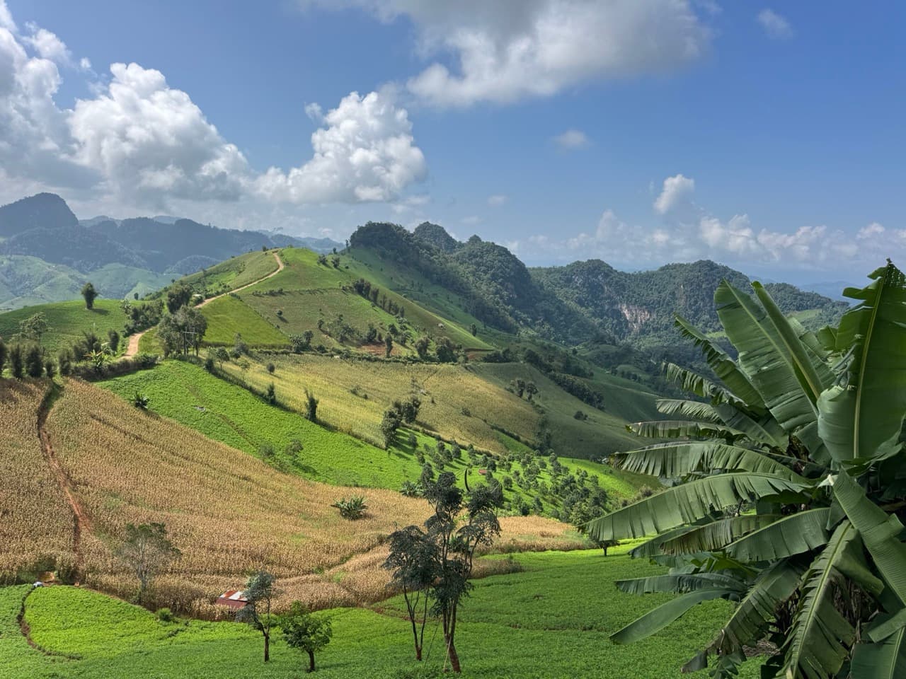 Phang Ma Pha Border Loop (Near Loi Tai Leng) — photo 23
