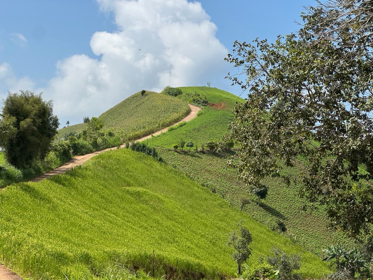 Phang Ma Pha Border Loop (Near Loi Tai Leng) — photo 24