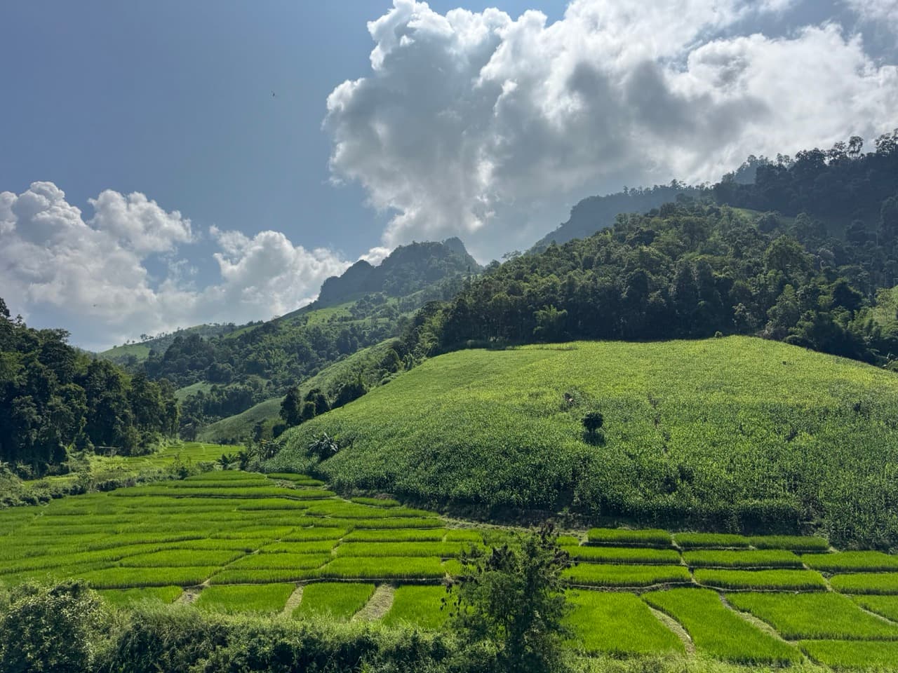 Phang Ma Pha Border Loop (Near Loi Tai Leng) — photo 27