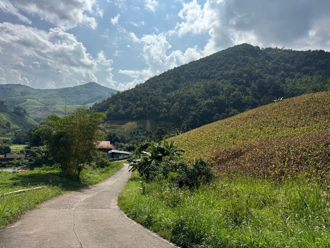 The Ban So Bae Loop Near Phang Ma Pha — photo