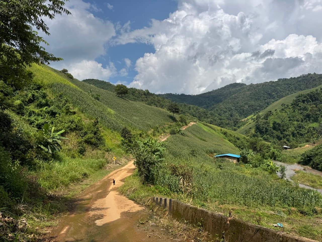 The Ban So Bae Loop Near Phang Ma Pha — photo 7