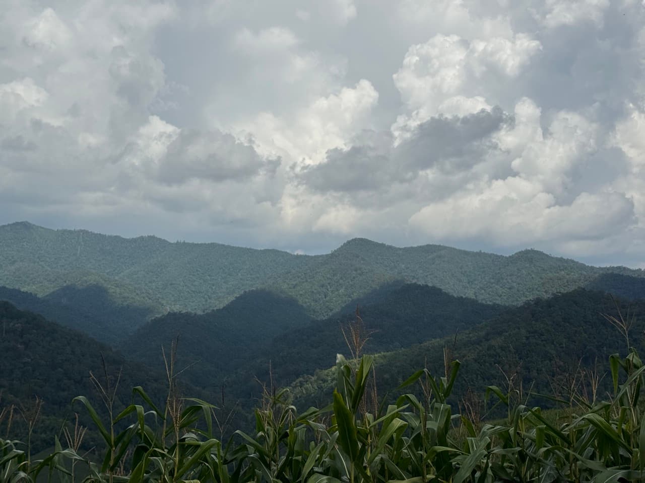 The Ban So Bae Loop Near Phang Ma Pha — photo 9