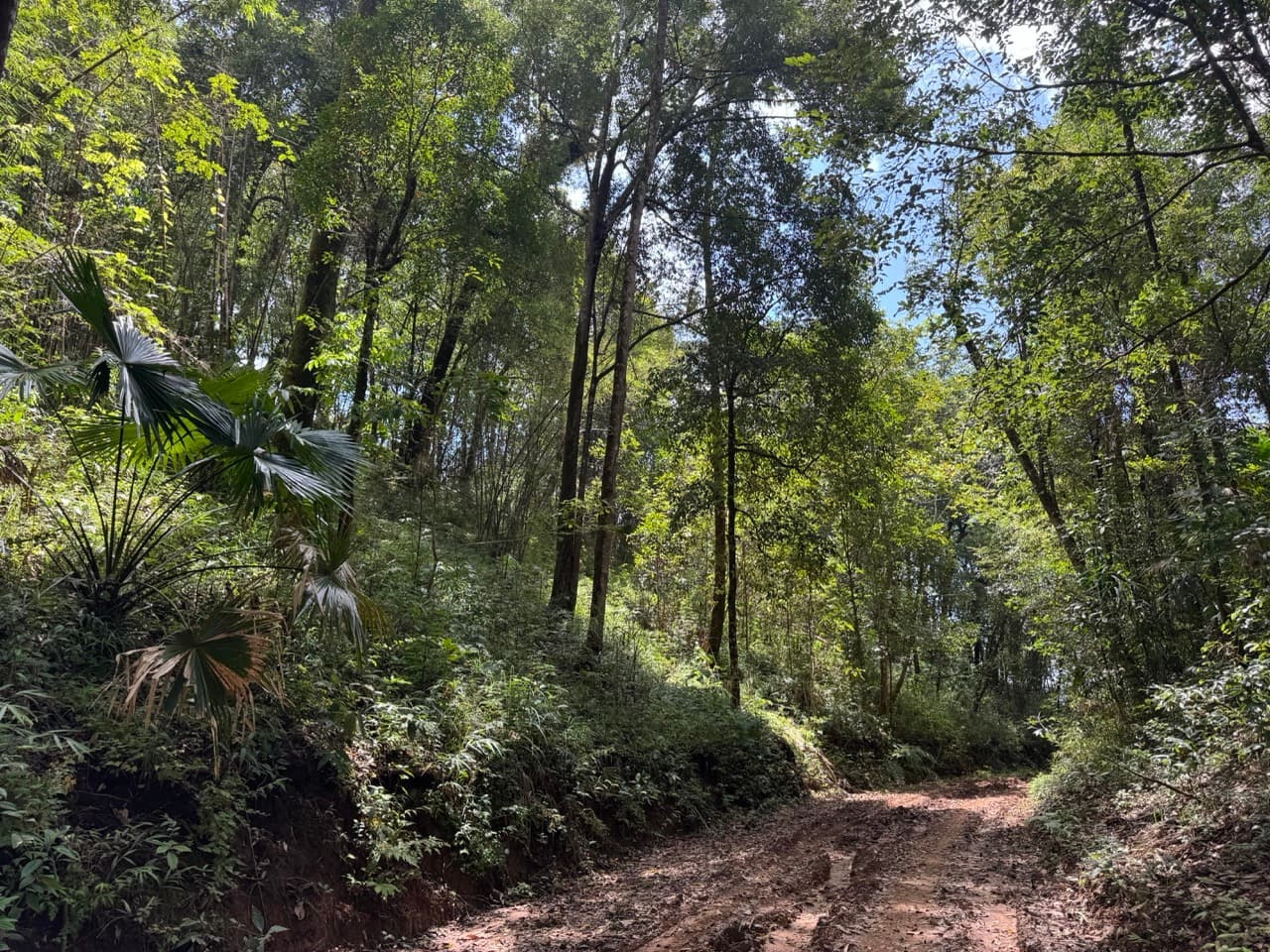 The Ban So Bae Loop Near Phang Ma Pha — photo 13