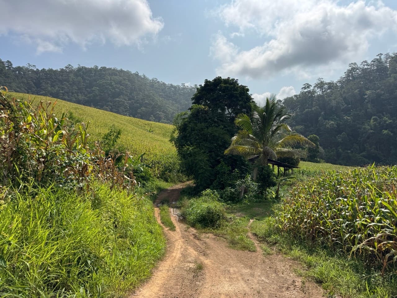The Mae Hong Son River Run — photo 8