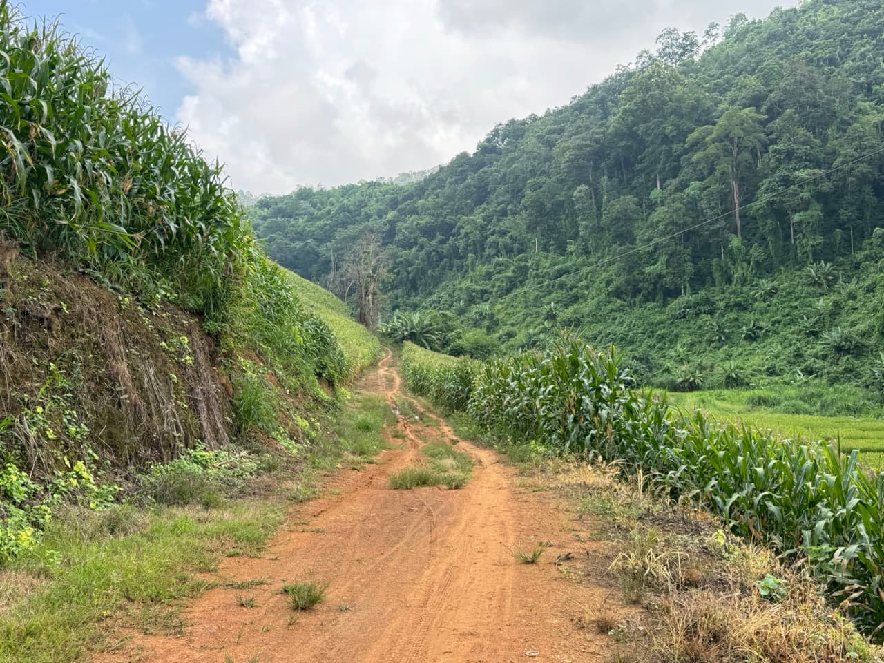 The Mae Hong Son River Run — photo 11