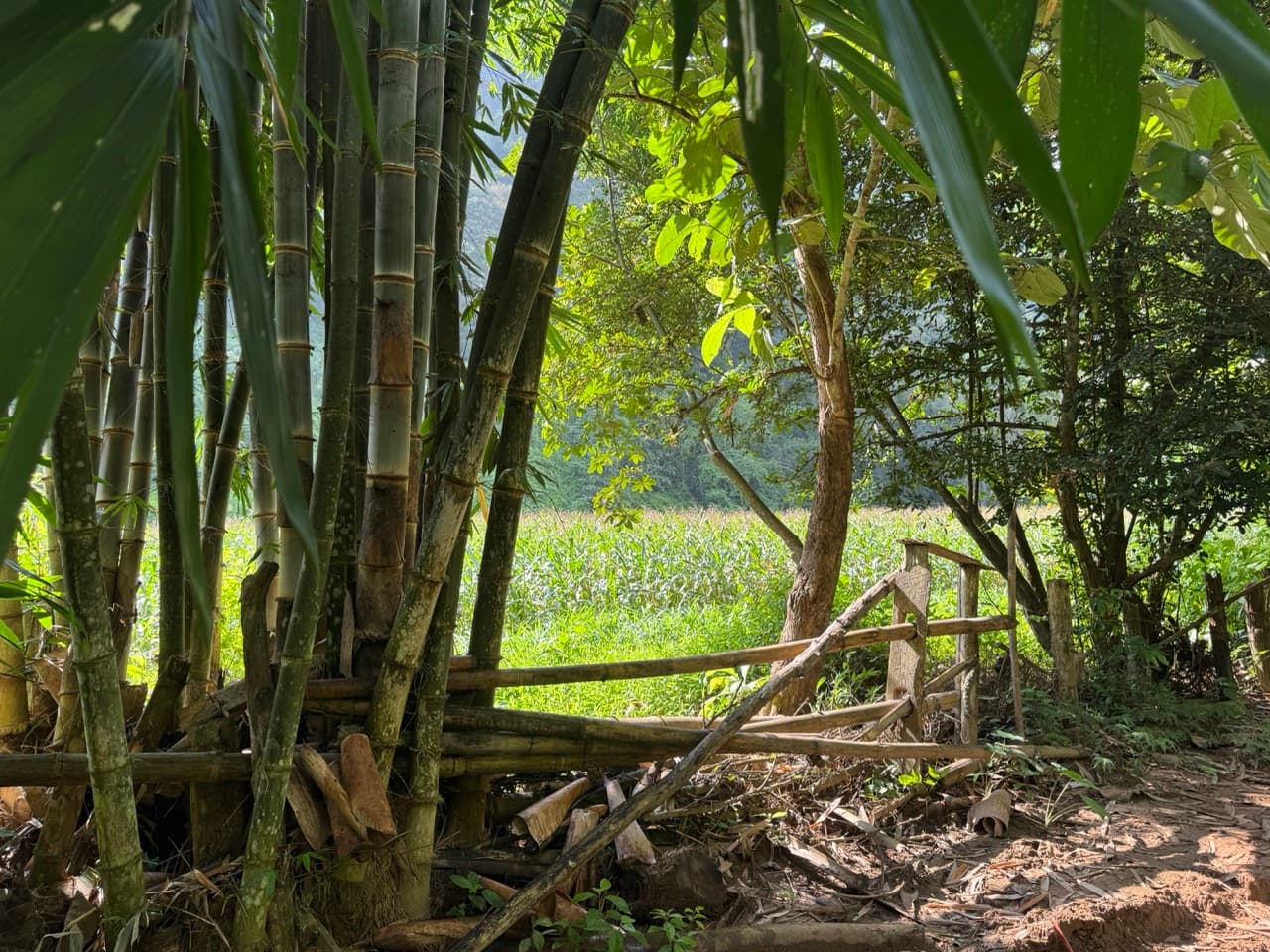 The Mae Hong Son River Run — photo 18