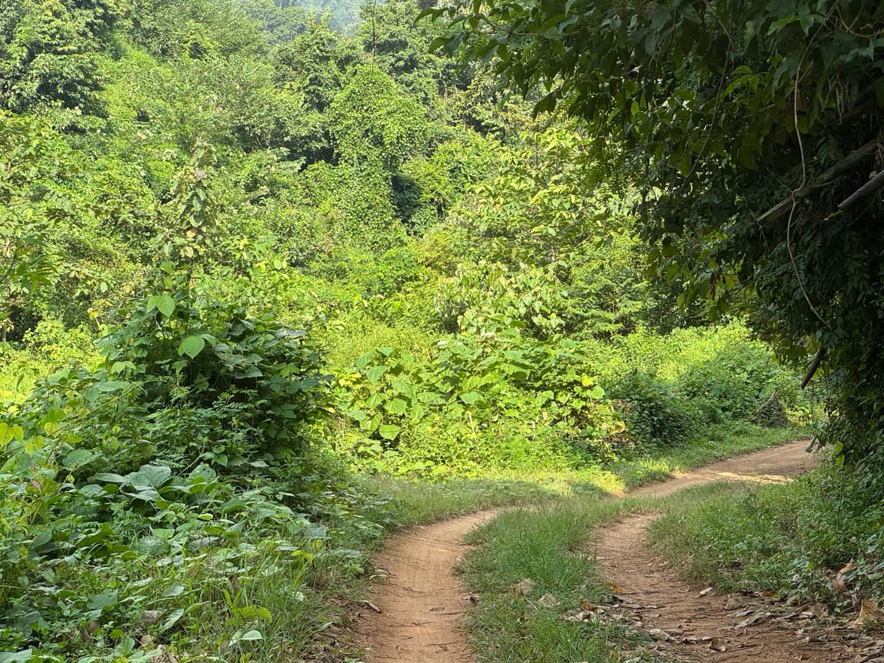 The Mae Hong Son River Run — photo 19