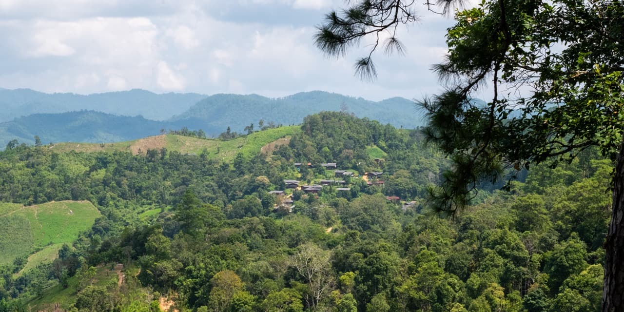 The Tail of the Elephant — trail photo