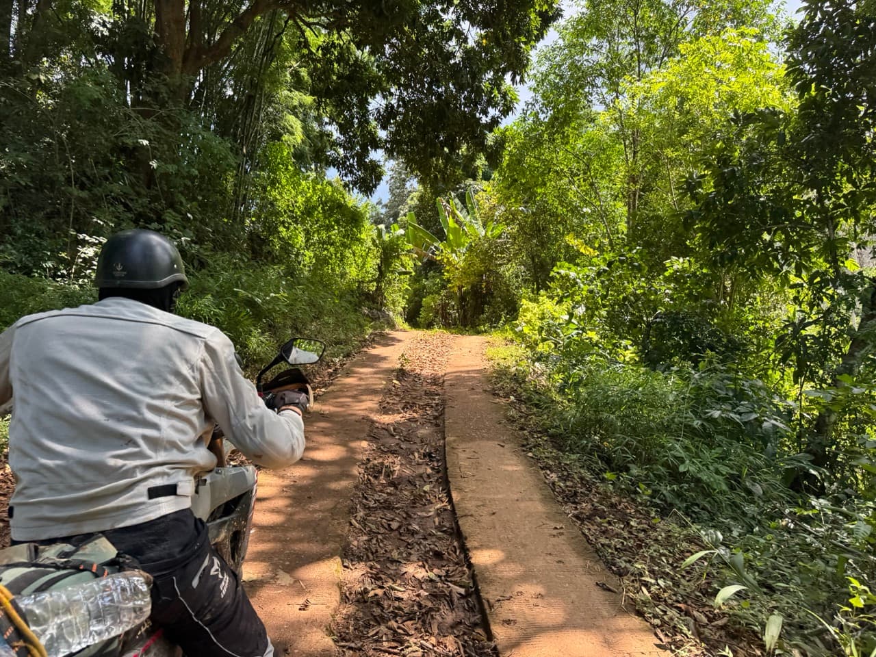 The Tail of the Elephant — photo