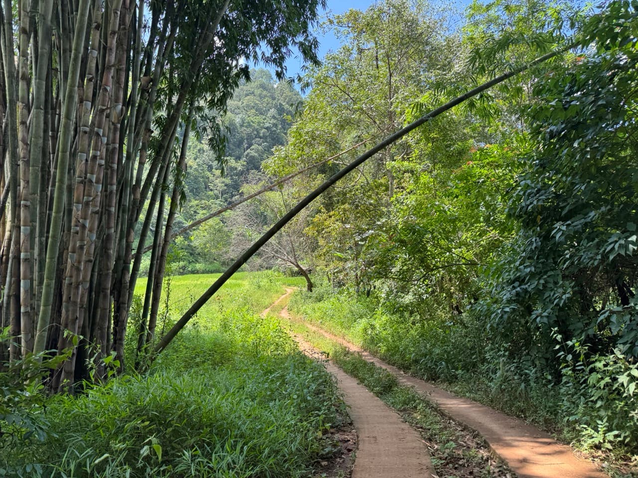 The Tail of the Elephant — photo