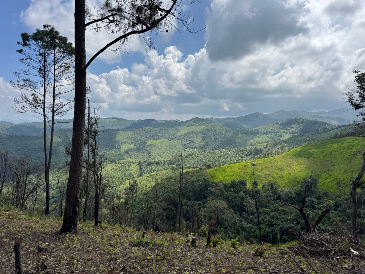 The Tail of the Elephant — photo 15