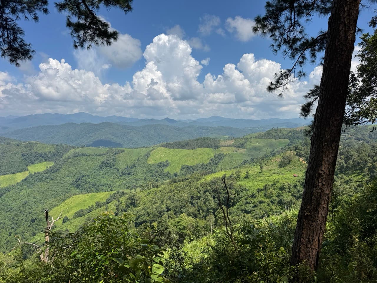 The Tail of the Elephant — photo 17