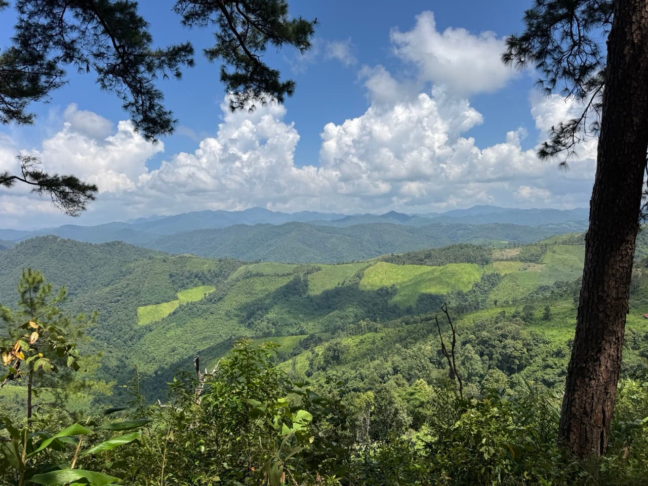 The Tail of the Elephant — photo 19