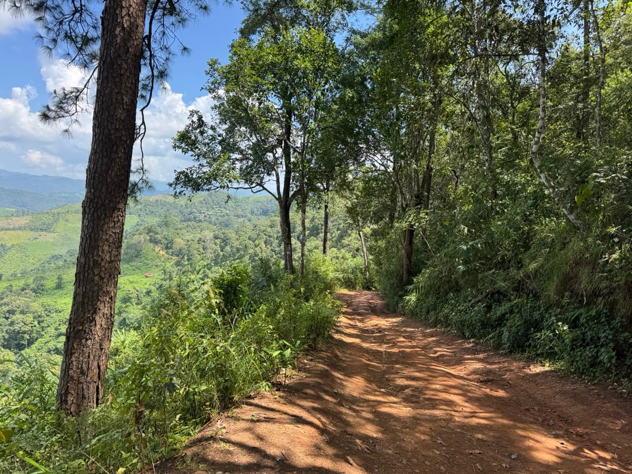 The Tail of the Elephant — photo 20