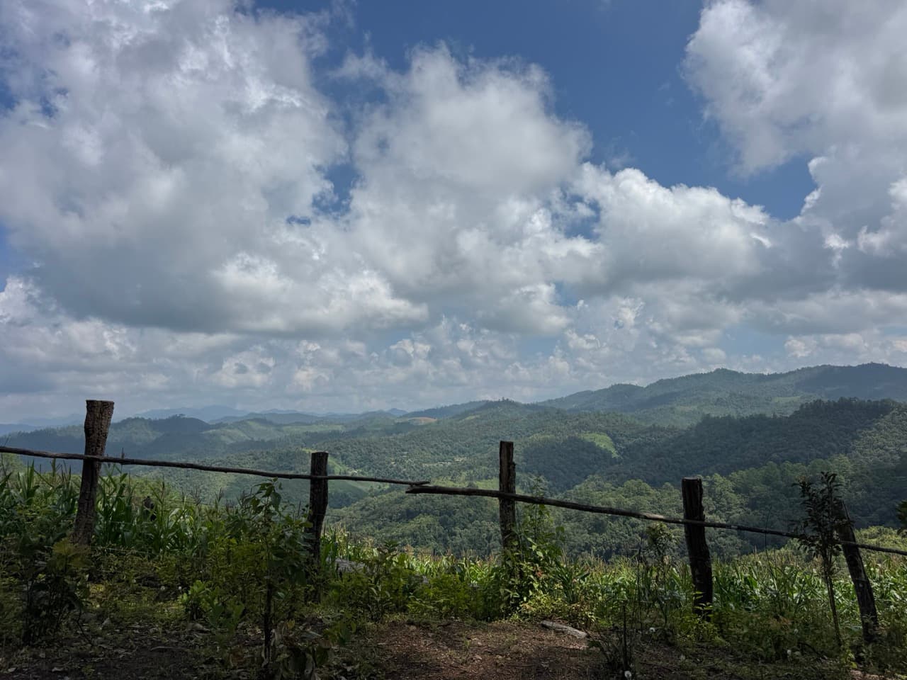 The Tail of the Elephant — photo 24