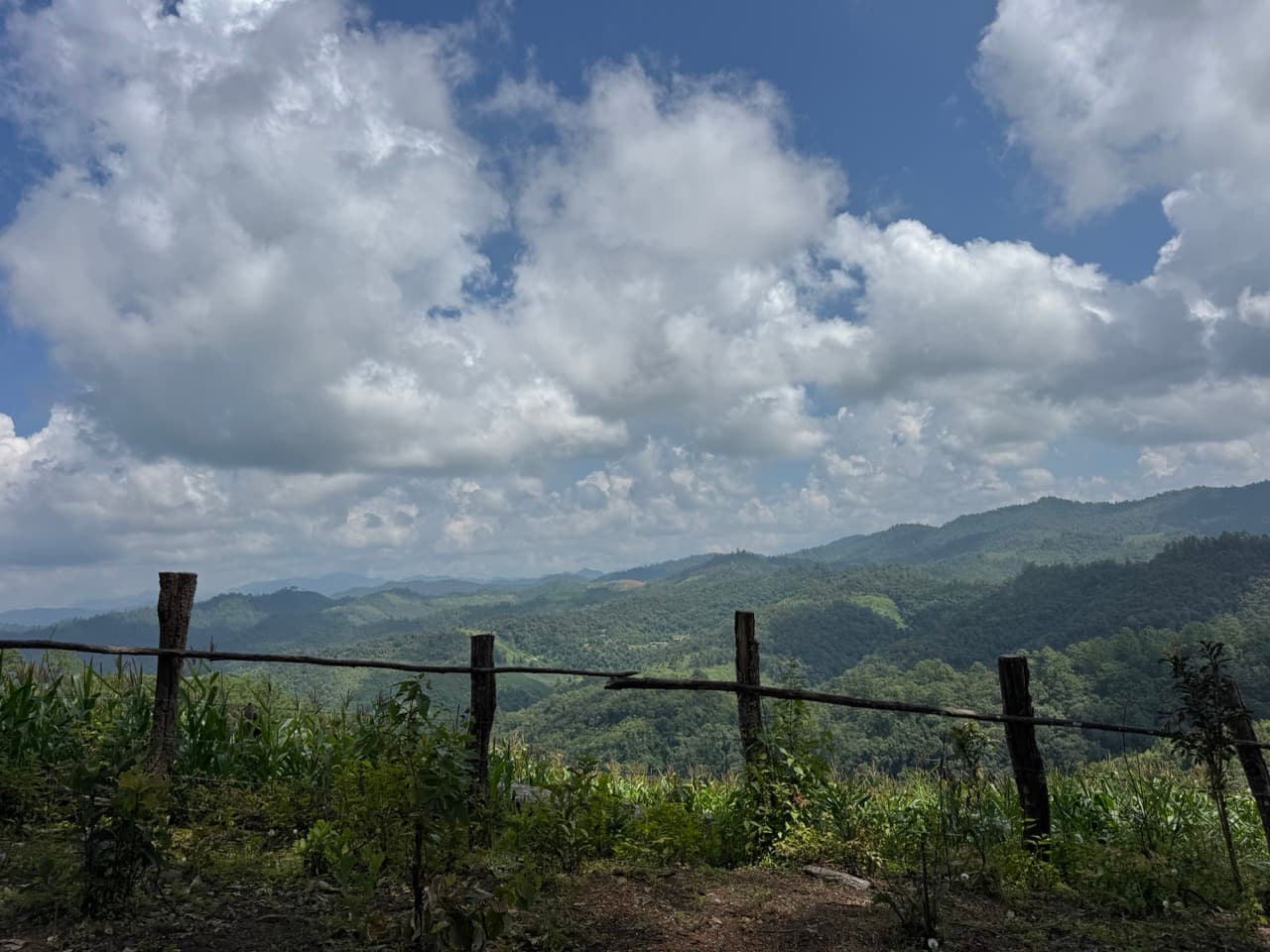 The Tail of the Elephant — photo 25