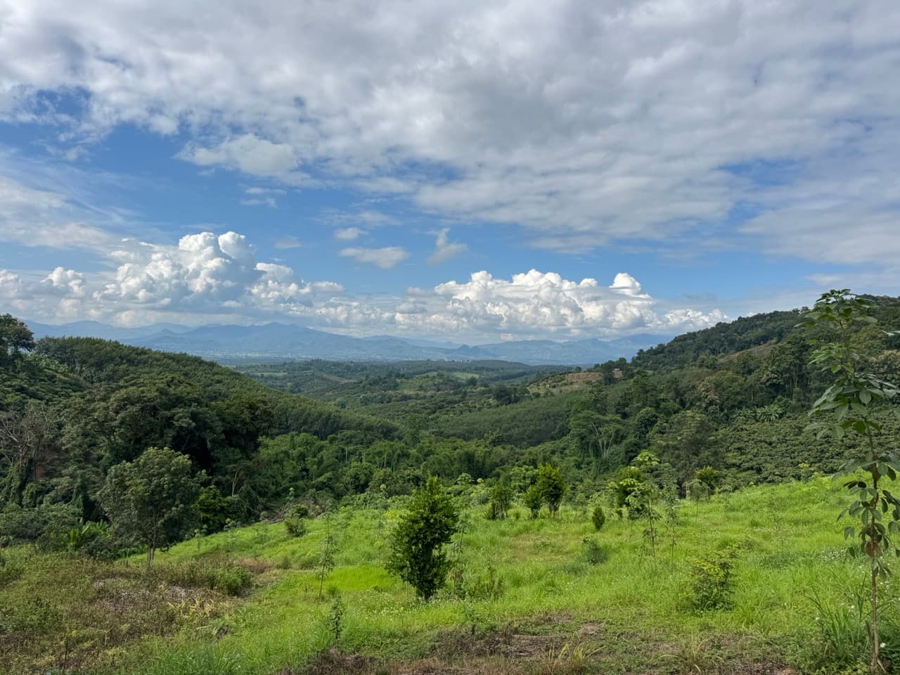The Doi Luang Loop — photo