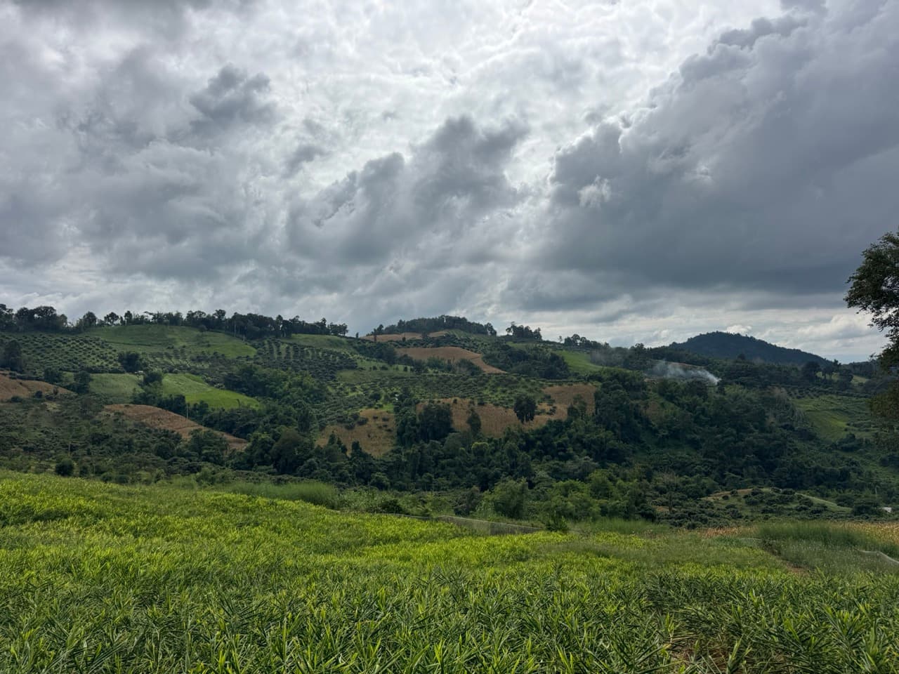 The Doi Luang Loop — photo 10