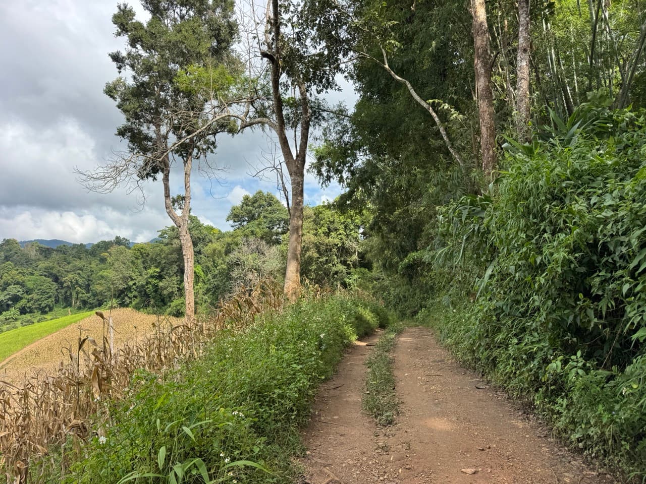 The Doi Luang Loop — photo 12