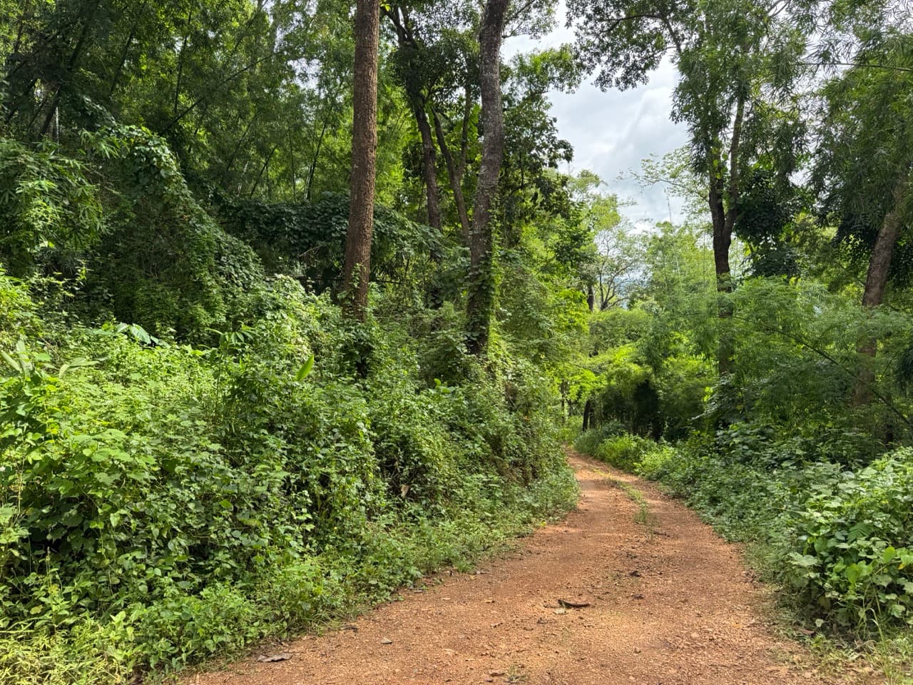 The Doi Luang Loop — photo 14