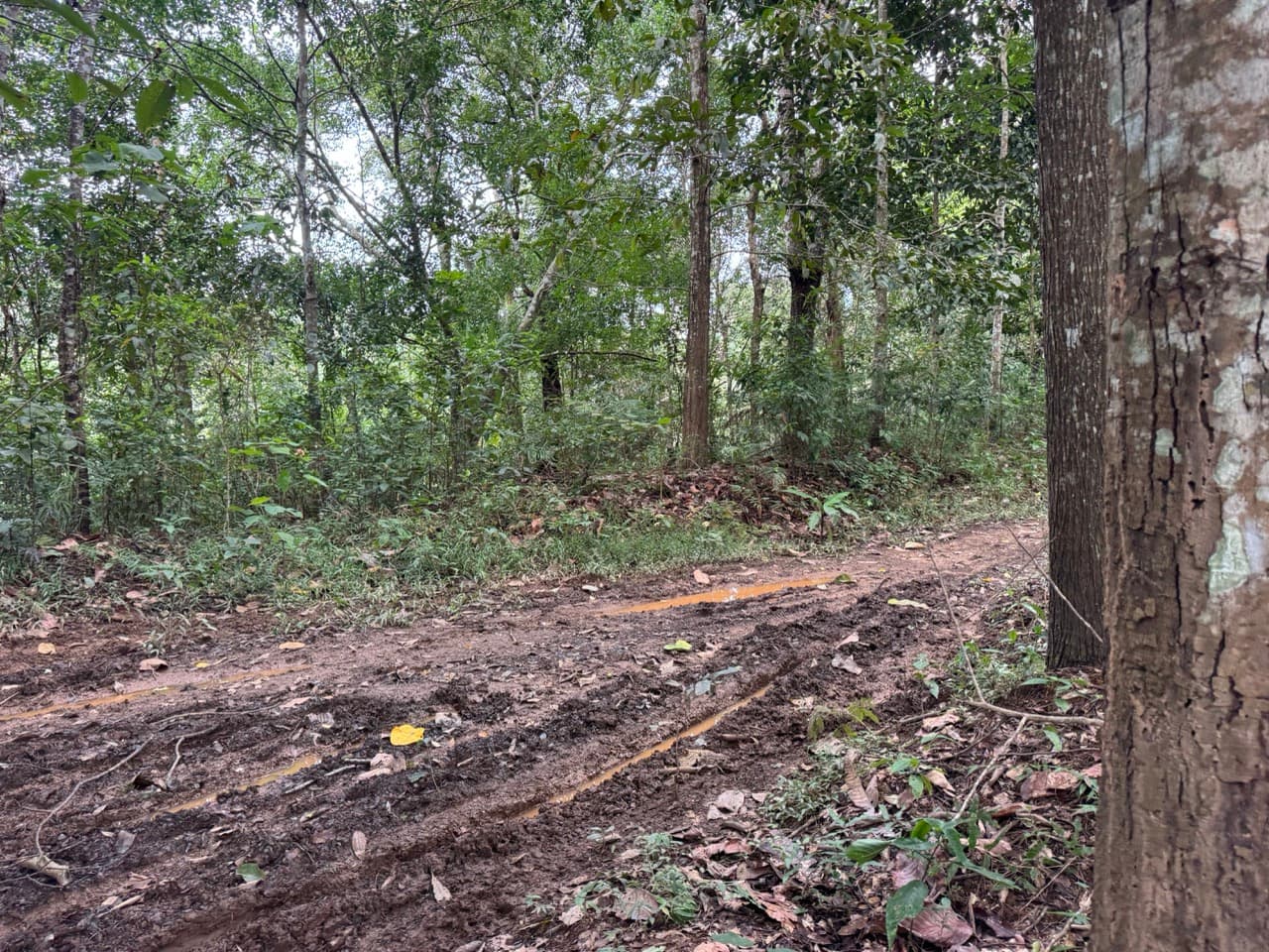 The Doi Luang Loop — photo 23