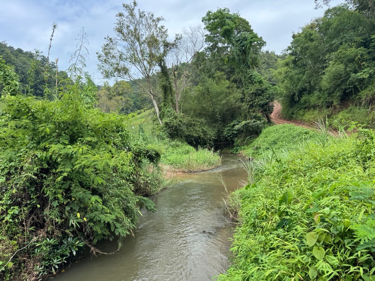 The Doi Luang Loop — photo 39