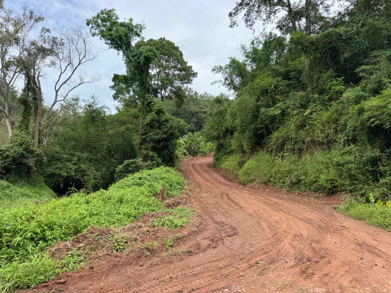 The Doi Luang Loop — photo 41