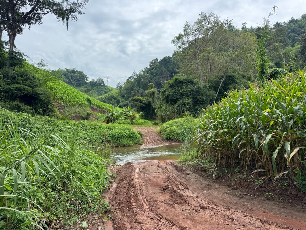 The Doi Luang Loop — photo 43