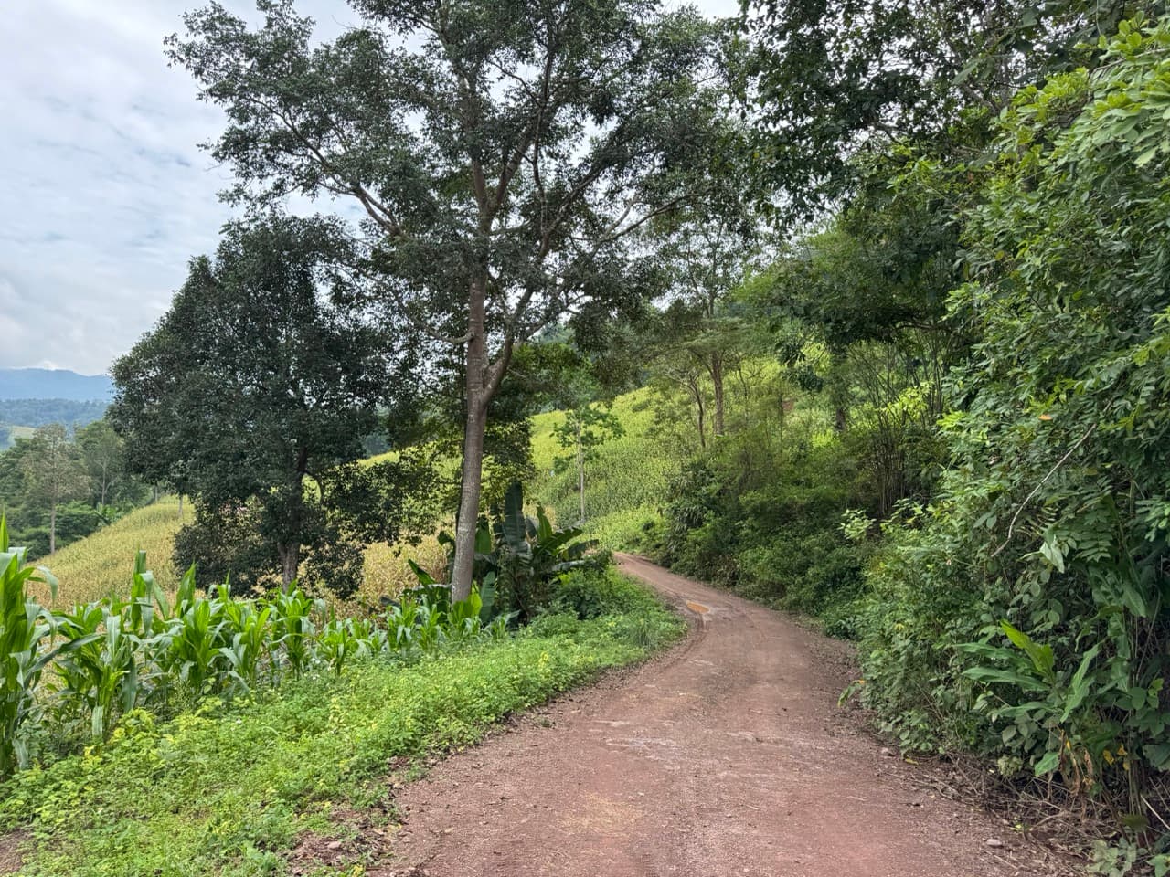 The Doi Luang Loop — photo 44