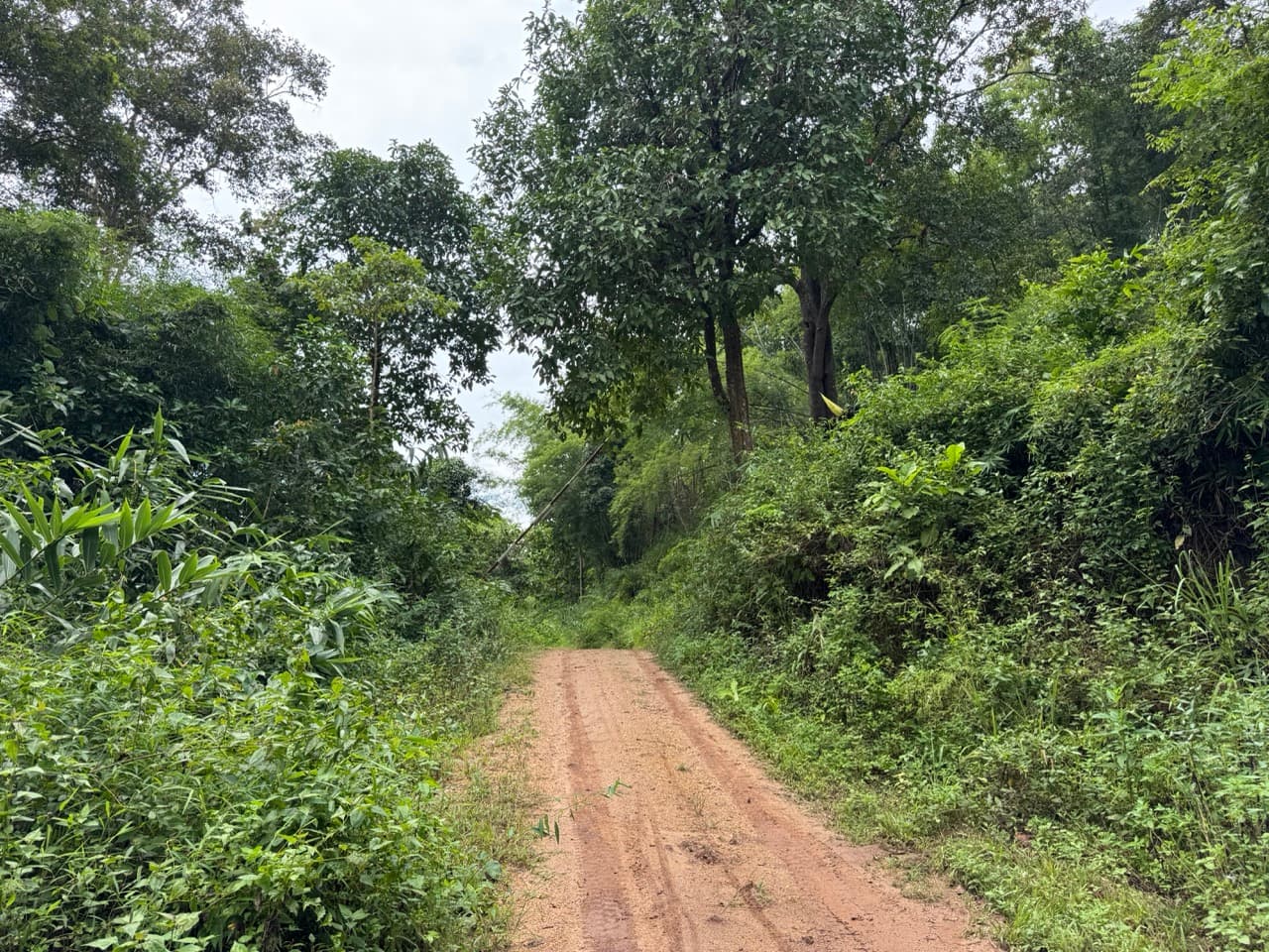 The Doi Luang Loop — photo 45