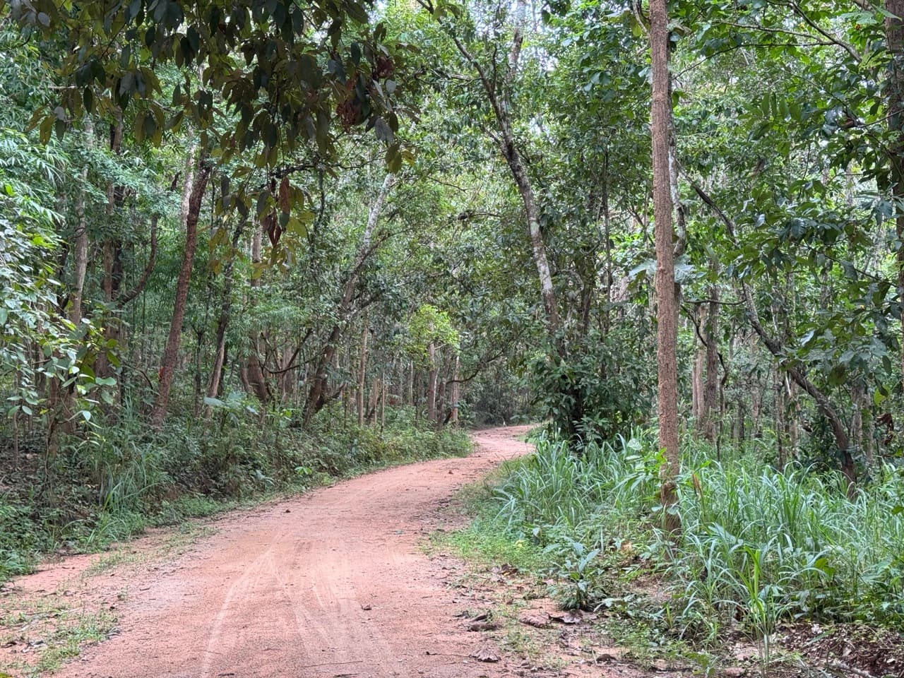The Doi Luang Loop — photo 52