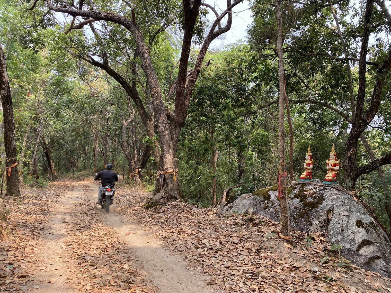 Phrao Northern Arc — photo