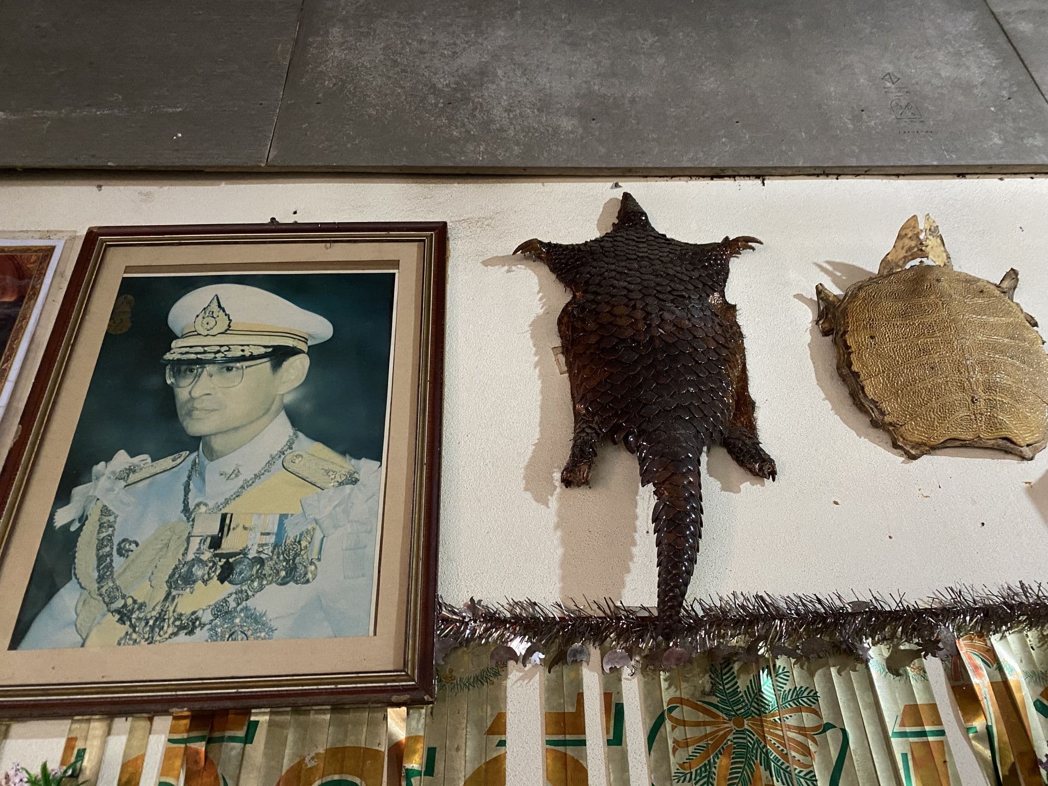 Phrao Northern Arc — photo 11