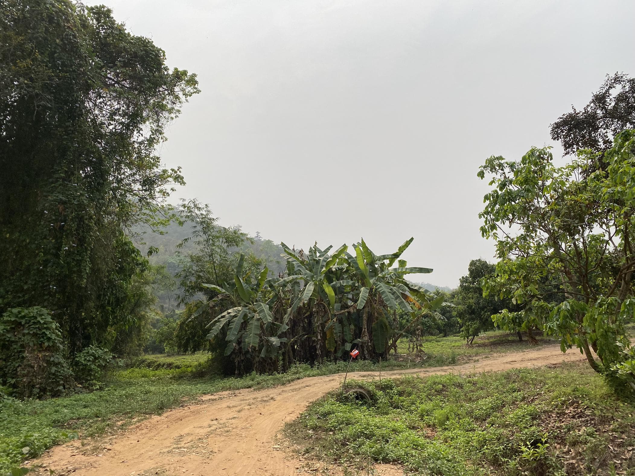 Phrao Northern Arc — photo 15