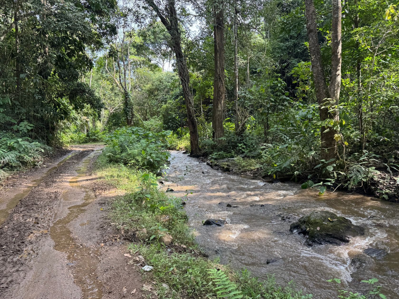 Mae Sa to Mae Chaem - The Long Way — photo 6